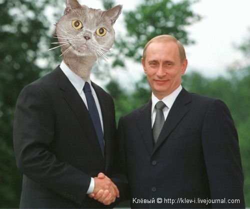 Поздороваться с кем с командиром. Путина приветствуют долбоёбы.
