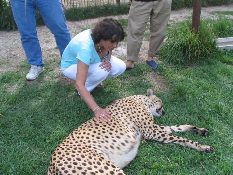 Женщины в леопардовом зоопарке. Зоопарк Луджан, Аргентина. Жирный Ягуар. Жирный гепард. Жирный леопард.