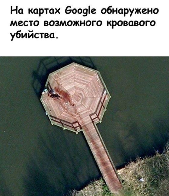 Убийство на Google Maps (6 фото) .
