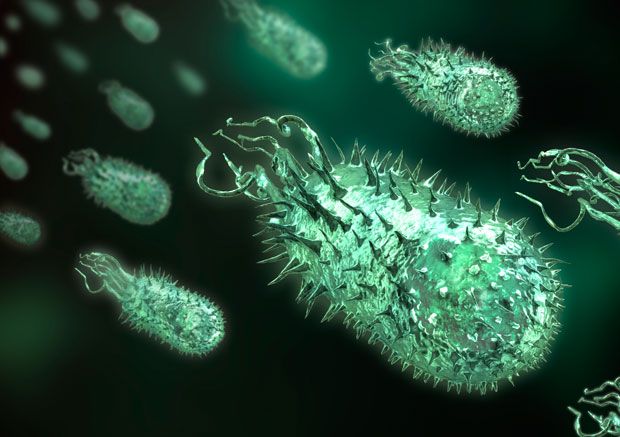 Полезные и вредные микробы в картинках thumbnail