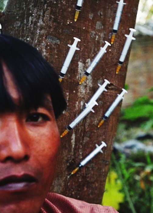 Героин мьянма конопля в наркологии