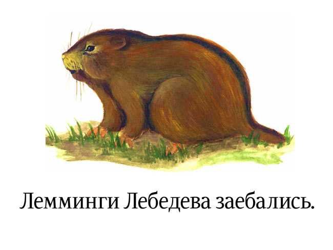 http://ru.fishki.net/picsw/062007/28/lebedev/023_lebedev_37.jpg