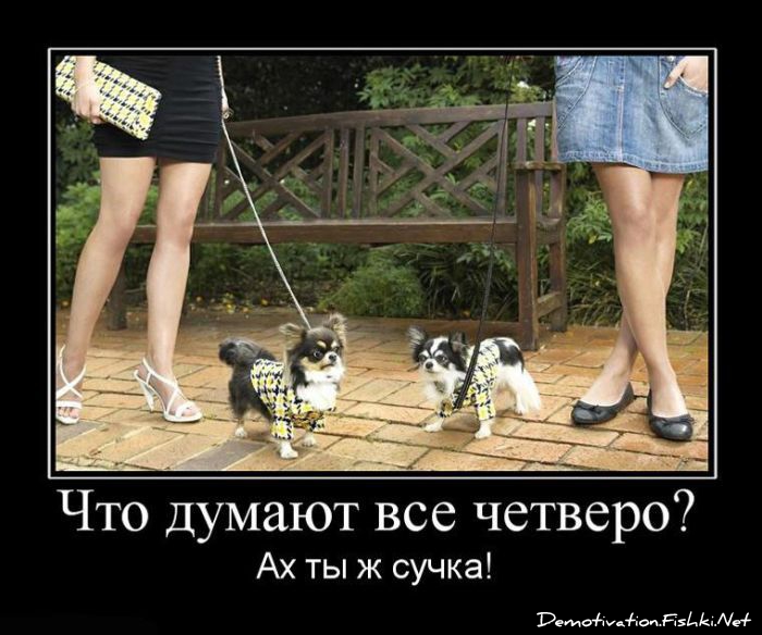 http://ru.fishki.net/picsw/062010/18/post/demotivator/demotivator130.jpg