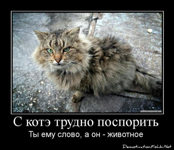 http://ru.fishki.net/picsw/062010/25/post/dem/demotivators_093.jpg