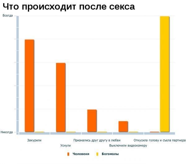 Статистика прикольные картинки