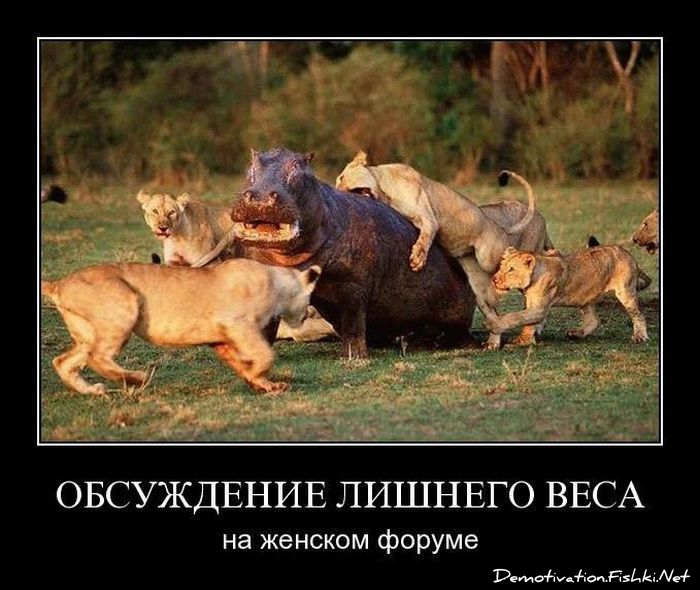 http://ru.fishki.net/picsw/072010/16/post/demotivator/demotivator098.jpg