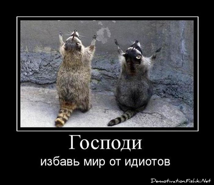 http://ru.fishki.net/picsw/072010/23/post/demotivator/demotivator094.jpg