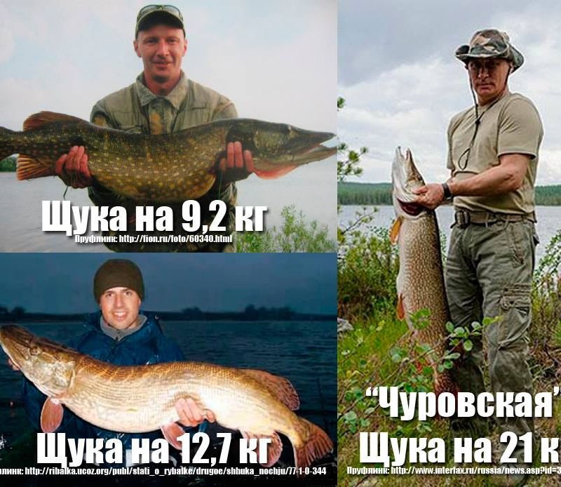 http://ru.fishki.net/picsw/072013/31/post/putin/04.jpg