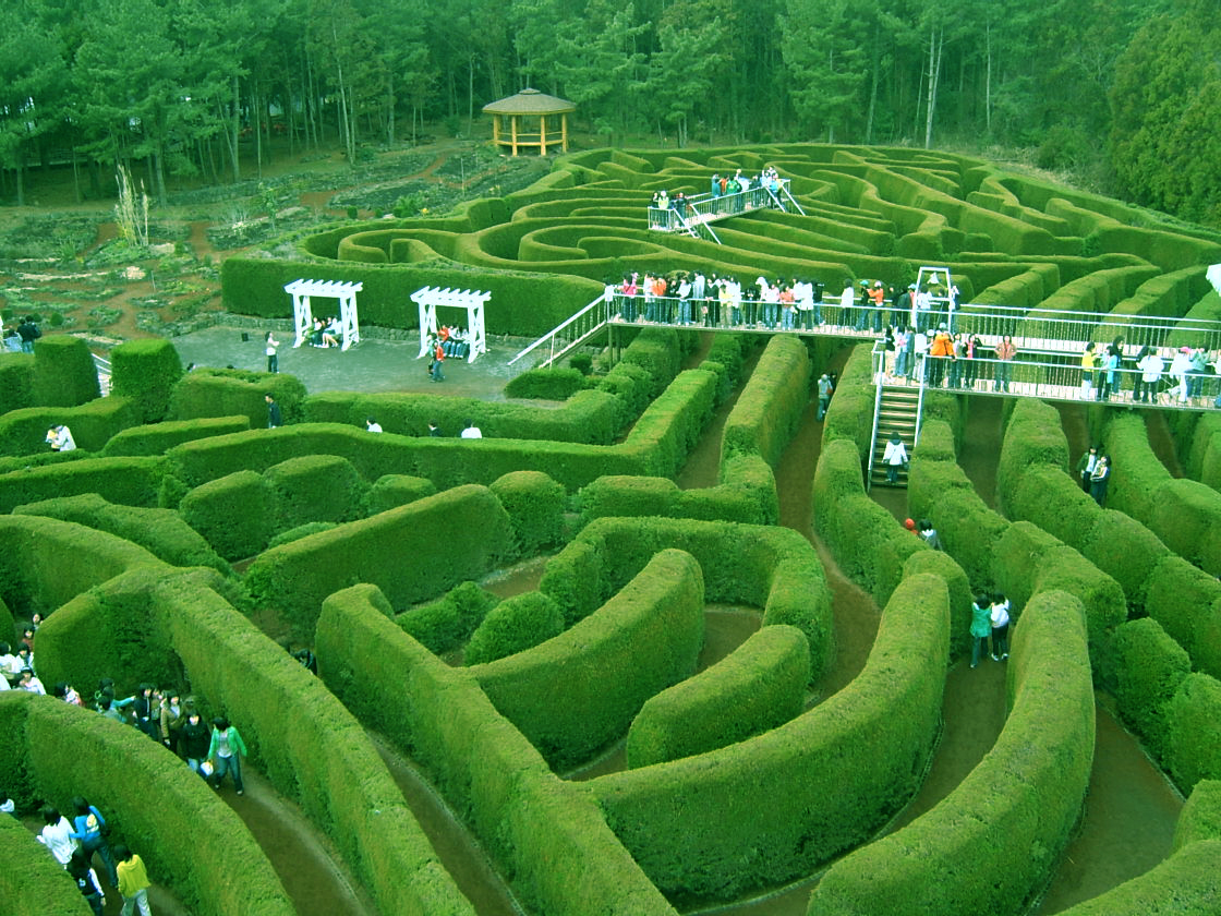 Лабиринт Davis' Mega Maze