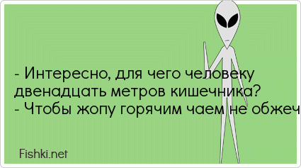 Двенадцать метров. Зачем человеку двенадцать метров кишечника. Зачем людям 12 метров человеку 12 метров кишечника. Двенадцать метров с человека. Анекдот зачем человеку 12 метров кишечника.