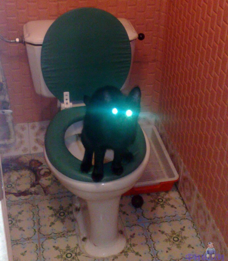 Вышел из туалета песня. Кот на унитазе. Оригинальная лампа в туалете. Выключайте свет в туалете. Смешные картинки в туалет.