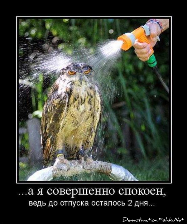 http://ru.fishki.net/picsw/092010/03/post/demotivator/demotivator013.jpg
