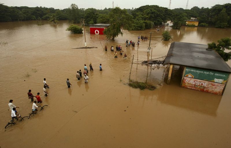 flood04 Последствия наводнений в Индии и Пакистане