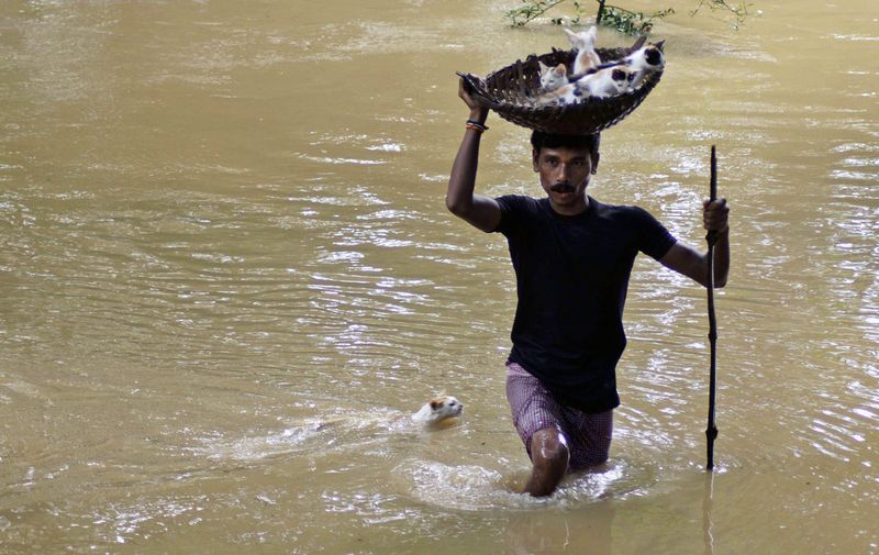 flood18 Последствия наводнений в Индии и Пакистане