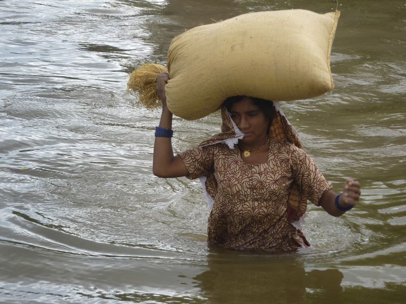 flood34 Последствия наводнений в Индии и Пакистане