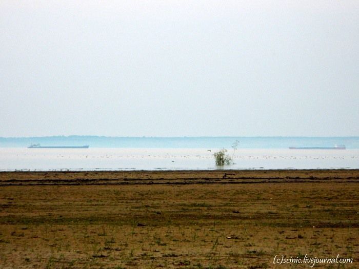 Цимлянские зори. Цимлянское водохранилище Волгоградская область. Цимлянское водохранилище Волгоградская область фото. Цимлянское море фото. Озеро Цимлянское Тюмень.