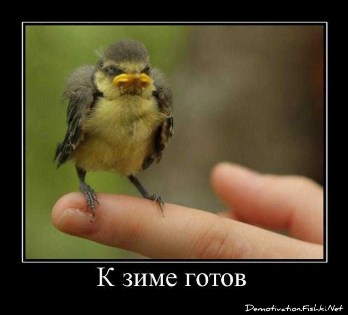 http://ru.fishki.net/picsw/102010/01/post/demotivator/demotivator014.jpg