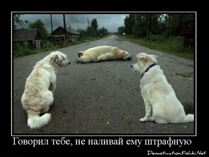 http://ru.fishki.net/picsw/102010/27/post/demotivator/demotivator066.jpg