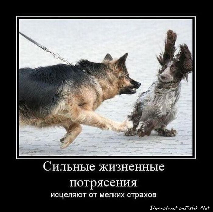 http://ru.fishki.net/picsw/102010/27/post/demotivator/demotivator082.jpg