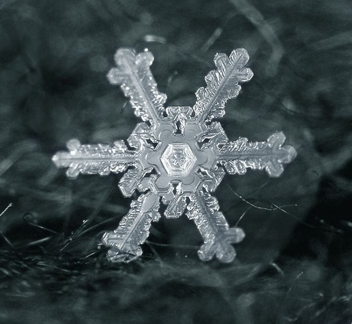 Как выглядит снежинка под микроскопом фото