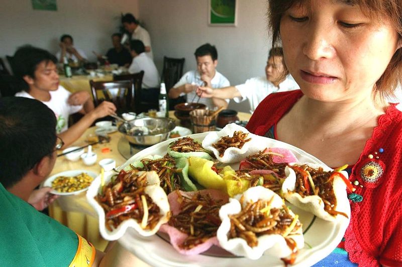 Китайцы с юмором говорят о своих гастрономических вкусах: «Мы едим все, что летает, кроме самолета, все, что имеет четыре ноги, кроме стола и стульев». Конечно же, Китай в употреблении насекомых – впереди планеты всей. Многие рестораны специализируются исключительно на блюдах, приготовленных из насекомых.