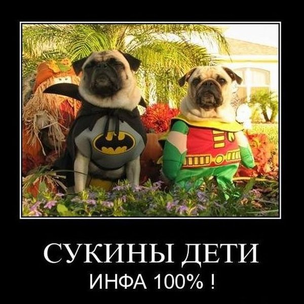 http://ru.fishki.net/picsw/122010/10/post/demotivator/tn.jpg