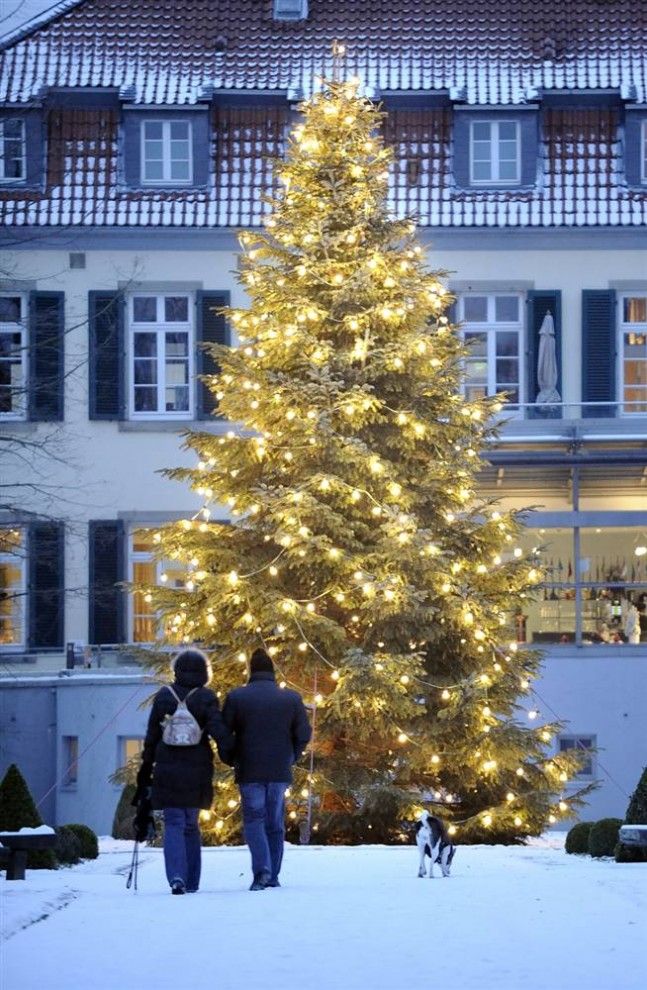 10. Пара гуляет с собакой рядом с украшенной гирляндами ёлкой возле поместья в Гельзенкирхене, на западе Германии. (Martin Meissner / AP)