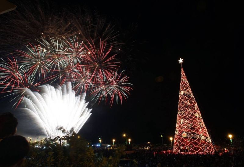 18. Фейерверки озаряют небо возле 37-метровой рождественской елки в Палаван-Сити, Филиппины. Рождественские праздники на Филиппинах, крупнейшем азиатском государстве, где исповедуют католицизм, начинаются 16 декабря и продолжаются до праздника Трех королей в январе. (Romeo Ranoco / Reuters)