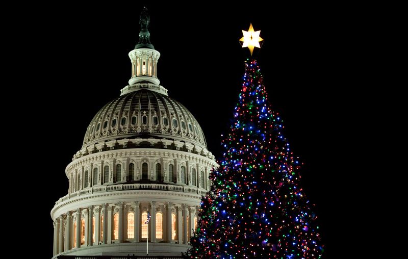 Рождественская елка в Вашингтоне после церемонии зажжения праздничных огней 7 декабря.