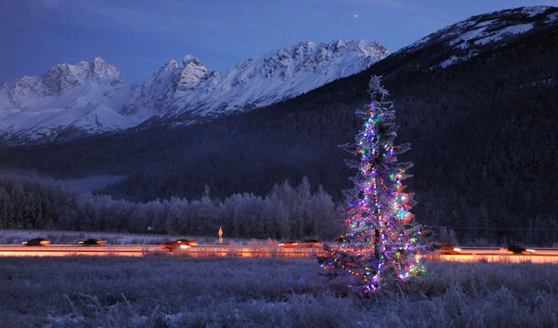 Одинокая елка, украшенная гирляндами и игрушками на батарейках, управляемых дистанционно, приветствует водителей на шоссе Гленн недалеко от Палмера, Аляска, 5 декабря.
