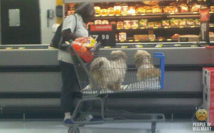 Интересные люди в супермаркетах. Часть 5. (73 фото)