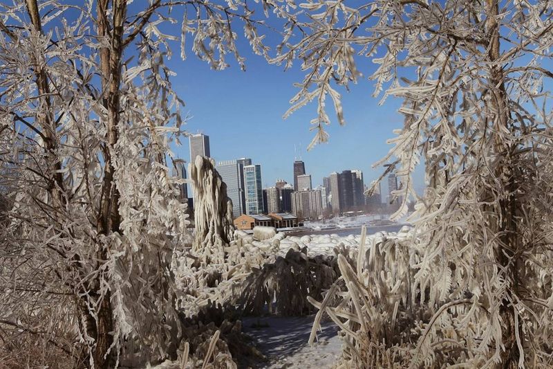 1. Лед сковал деревья вдоль берега озера Мичиган в Чикаго, штат Иллинойс после того, как ветра скоростью в 64 км/час, вымыли волны, а температура упала до -10. (Scott Olson / Getty Images)