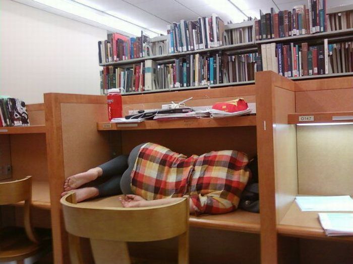 Библиотека погруженная в сон (45 фото)