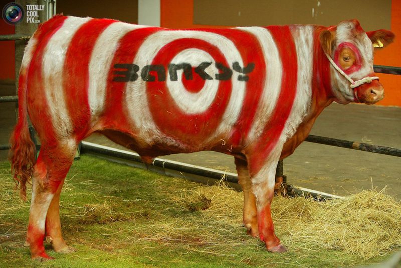 Корова с именем художника Banksy на выставке «Turf War» в Лондоне.