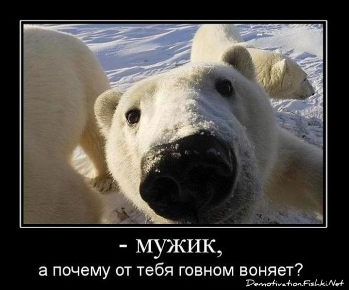 http://ru.fishki.net/picsw/122010/22/post/demotivator/demotivator036.jpg