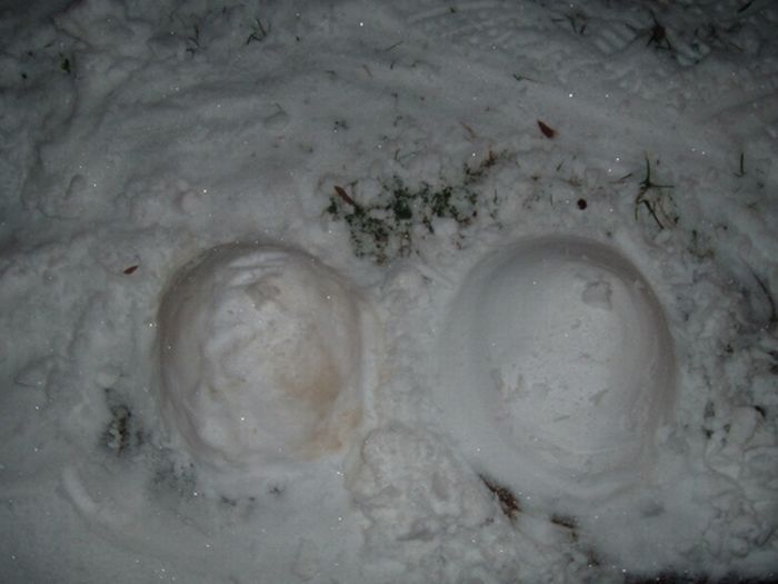 Снежные сиськи (40 фото)