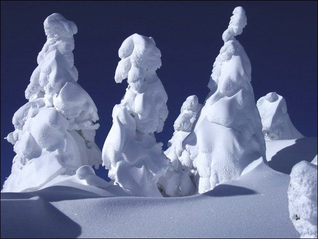 Cнежные монстры (11 фото)