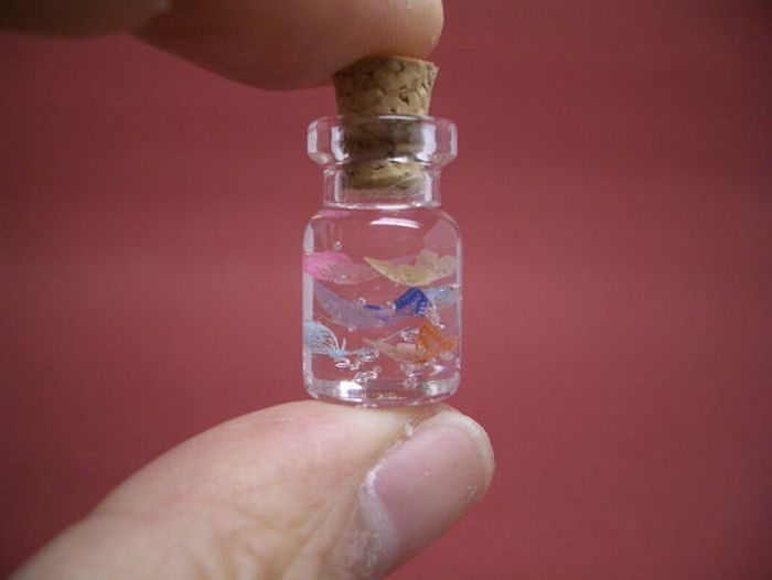 Крошечный мир в миниатюрных бутылках (27 фото)
