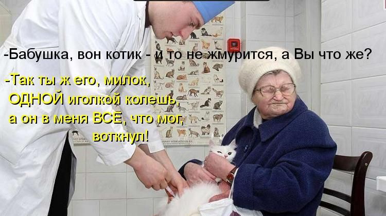 Смешные картинки про ветеринаров